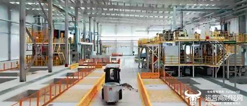 聰明的車駛上智慧的路 湖北移動賦能5G全連接汽車工廠，開啟智能車飾新篇章